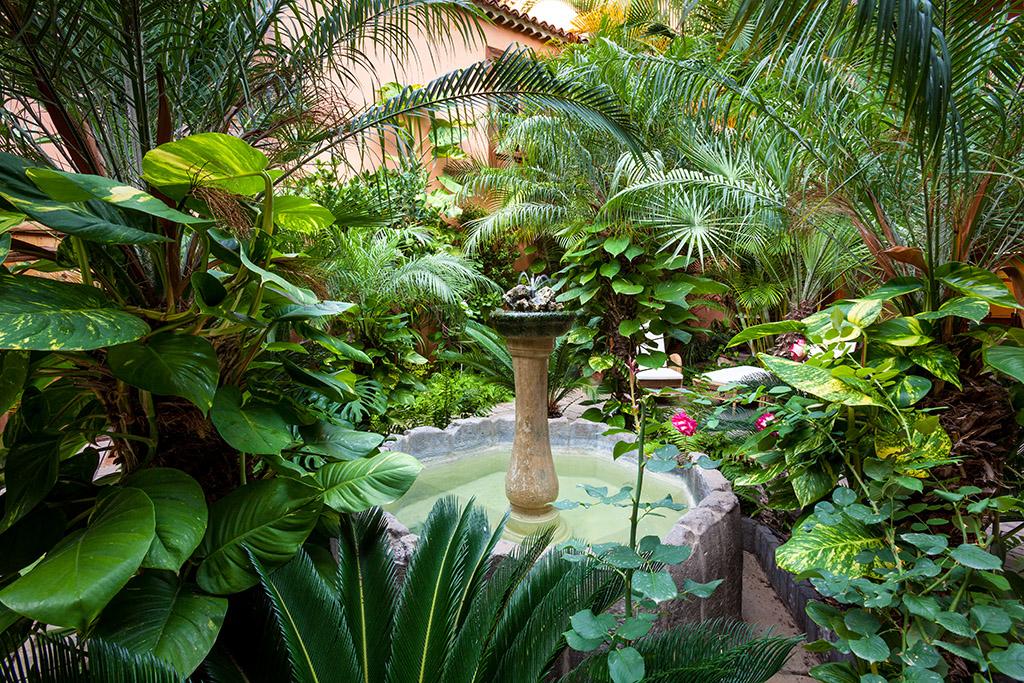 Hotel Livvo La Quinta Roja Garachico  Kültér fotó